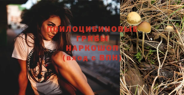 первитин Михайловск